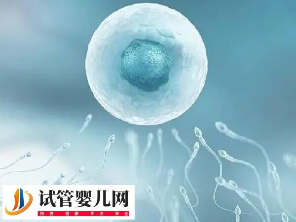 女同性恋怎么要孩子？可以卵卵结合做试管婴儿生吗？