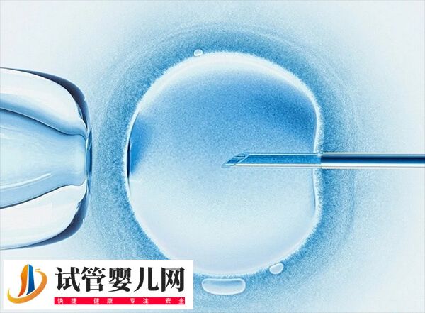 拉拉形婚想在国外做试管婴儿生女宝宝去哪做价格便宜？