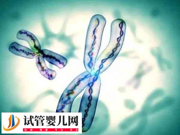 哪些夫妻需要进行遗传咨询(图1)