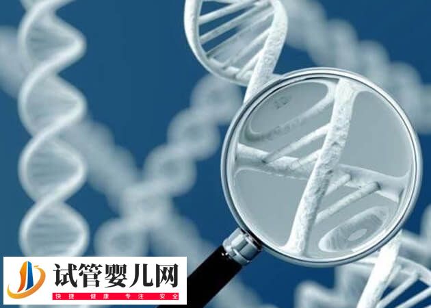 哪些夫妻需要进行遗传咨询(图2)