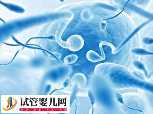 hiv患者能不能做试管