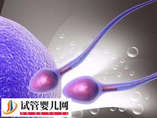 微刺激方案的优势是什么(图1)