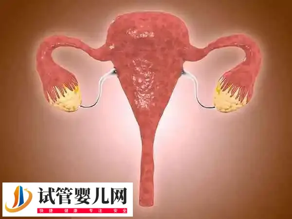 多囊卵巢做试管婴儿成功率多少