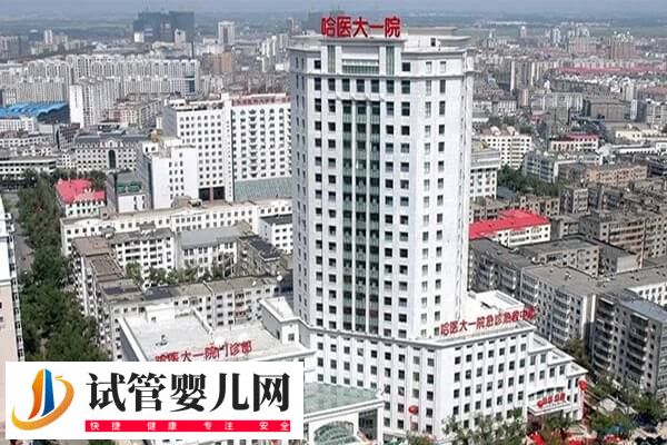 哈医大一院做试管哪个医生好