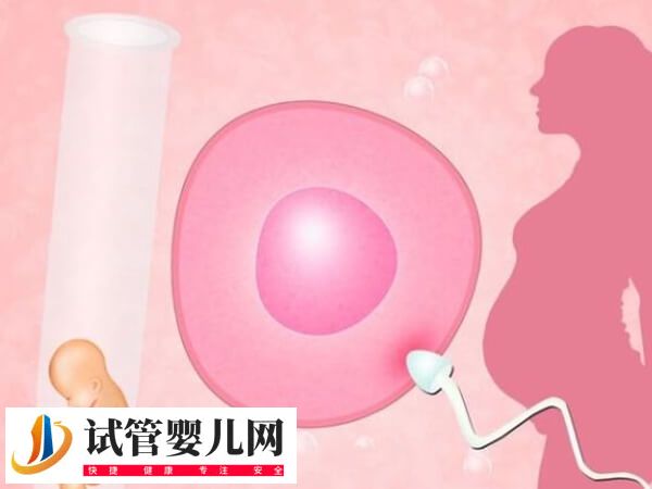 重庆三代试管婴儿试管婴儿多少钱