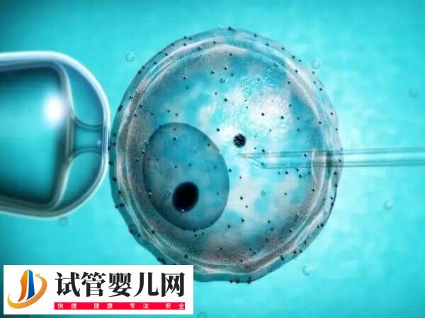 山东大学附属生殖取卵费用多少