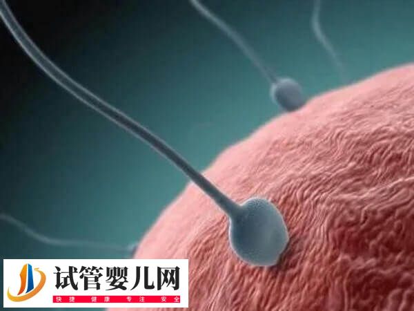 免疫不孕13项都要查哪些