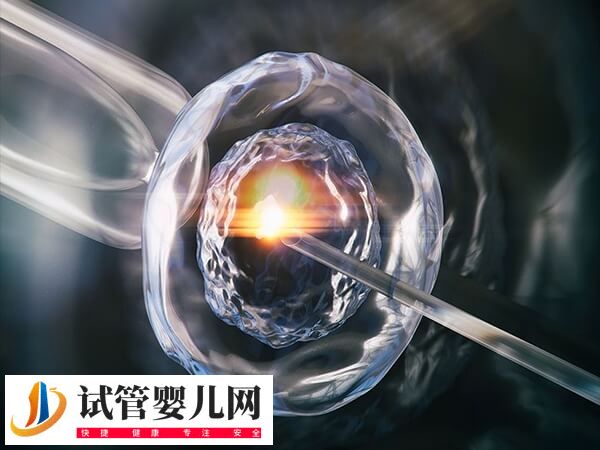 卵巢早衰做试管婴儿成功率