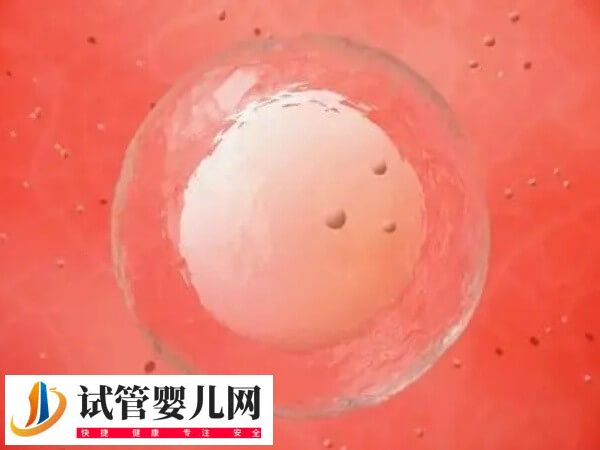 卵巢早衰做试管婴儿成功率(图2)