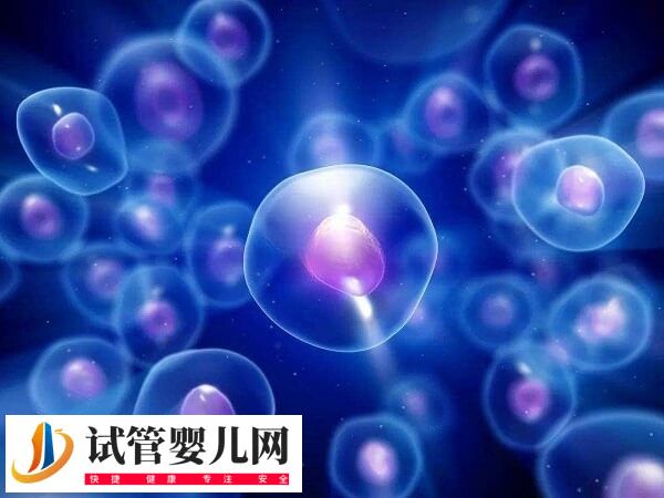 沈阳妇婴医院做试管有哪些流程