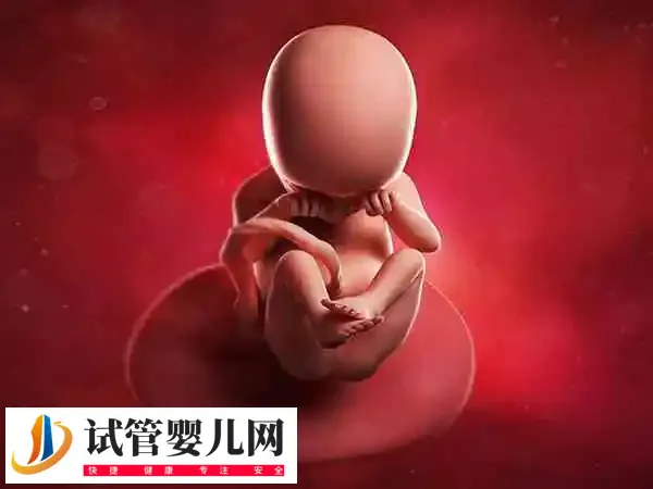 43岁的女人生孩子的条件是什么