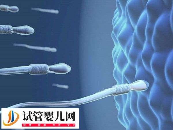 大连人工授精费用多少