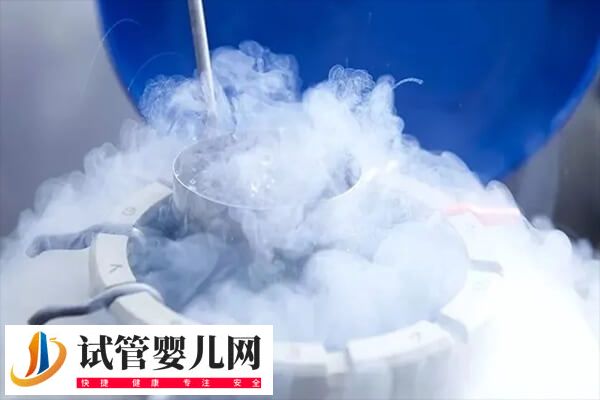 什么情况下会选择冻胚(图2)