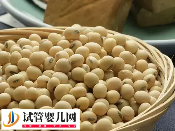 雌性激素多的食物有哪些