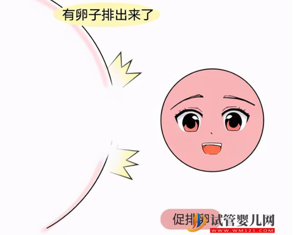 美国试管婴儿移植后，七大症状说明你有了