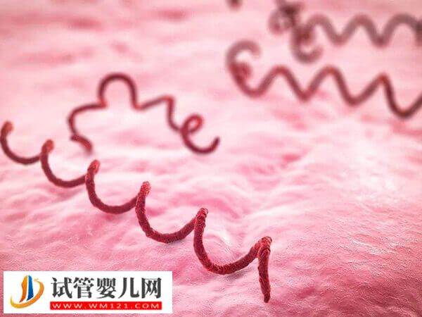 梅毒假阳性能不能做试管婴儿(图1) 梅毒假阳性能不能做试管婴儿(图1)