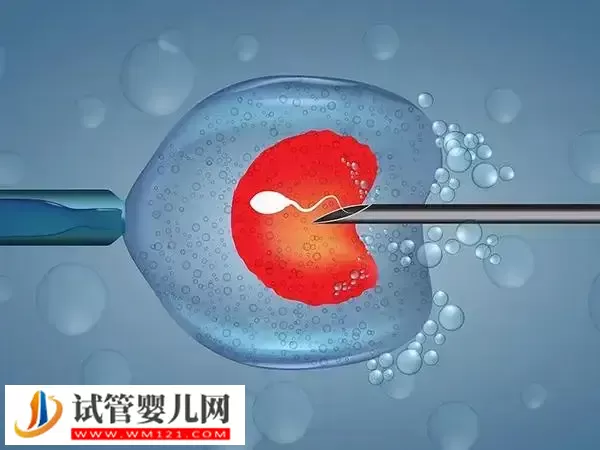囊胚移植17天出血的原因是什么(图1) 囊胚移植17天出血的原因是什么(图1)