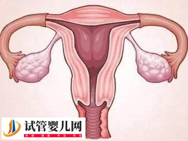 子宫切除后怎么保养比较好(图4)