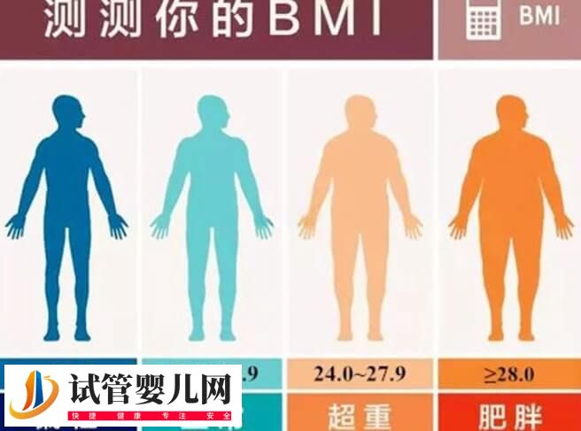 试管移植为什么要减肥(图1) 试管移植为什么要减肥(图1)