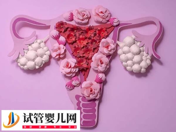 试管移植为什么要减肥(图2) 试管移植为什么要减肥(图2)