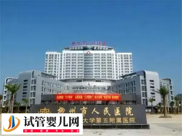广西试管婴儿医生哪个好