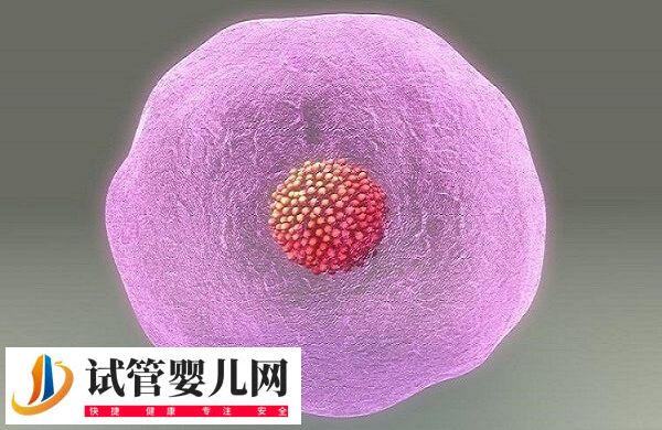 试管胚胎aa是质量等级最高最好的吗？