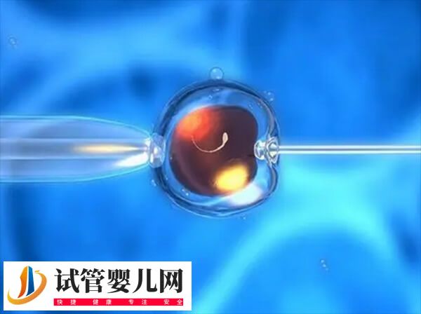第四代试管婴儿被禁止，除了安全性最主要的