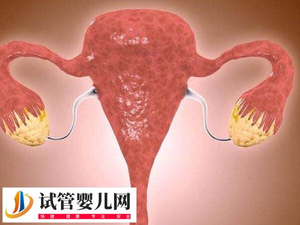 子宫内膜异位症移植鲜胚成功率多少