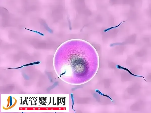 人工周期停药多久来月经正常