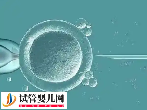 人工周期移植冻胚雌二醇多少正常(图1)
