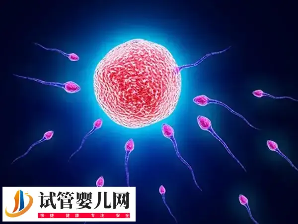 试管婴儿打促排针三天有什么症状