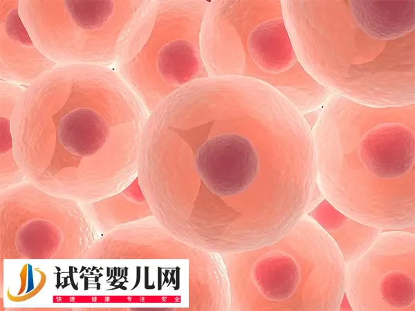 囊胚移植16天没感觉正不正常