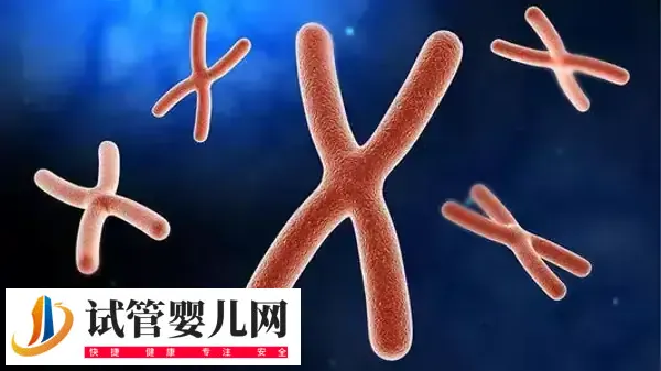 三代试管能筛查哪些遗传病(图2)