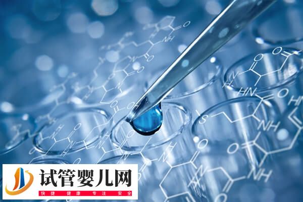 融合胚胎是不是连体婴儿