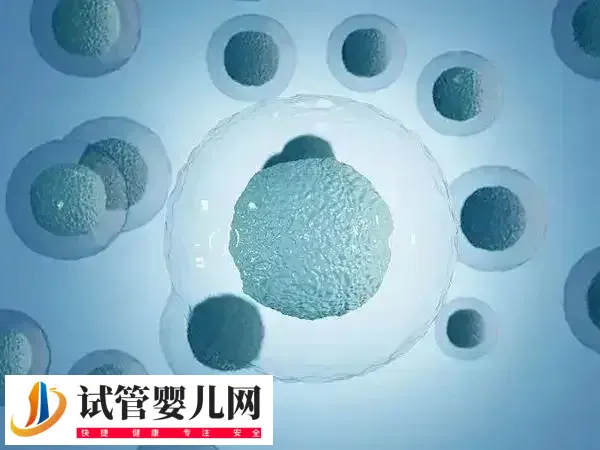 取卵术冲洗卵泡的次数要求是多少