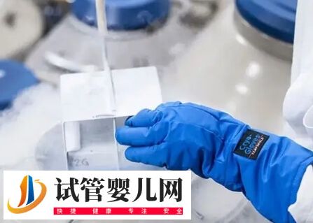 试管婴儿移植一个冻胚成功的经验有哪些