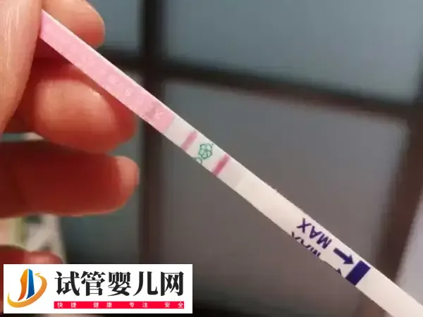 囊胚7天测到9天不加深是什么情况(图2)