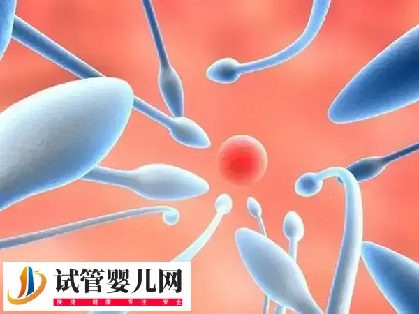 取卵前男方注意事项有哪些