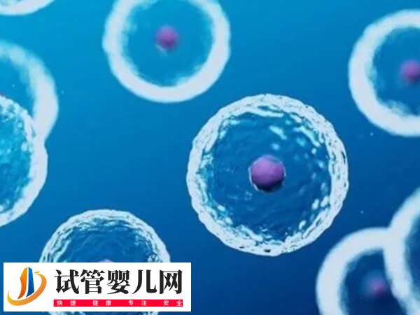 石女卵巢正常能不能取卵