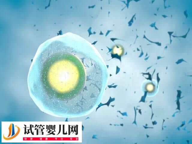 试管移植宫外孕有没有感觉